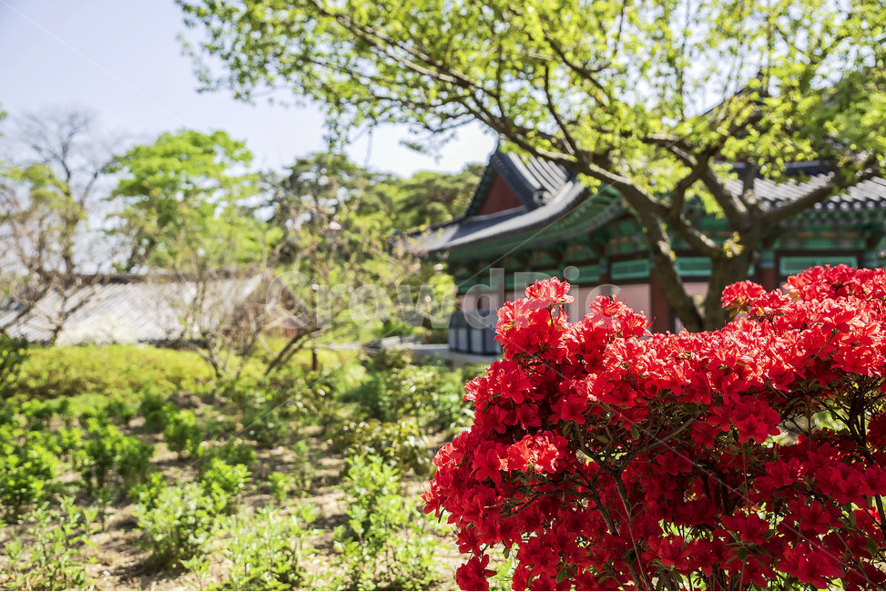 종오정,고택,풍경,꽃,경주
