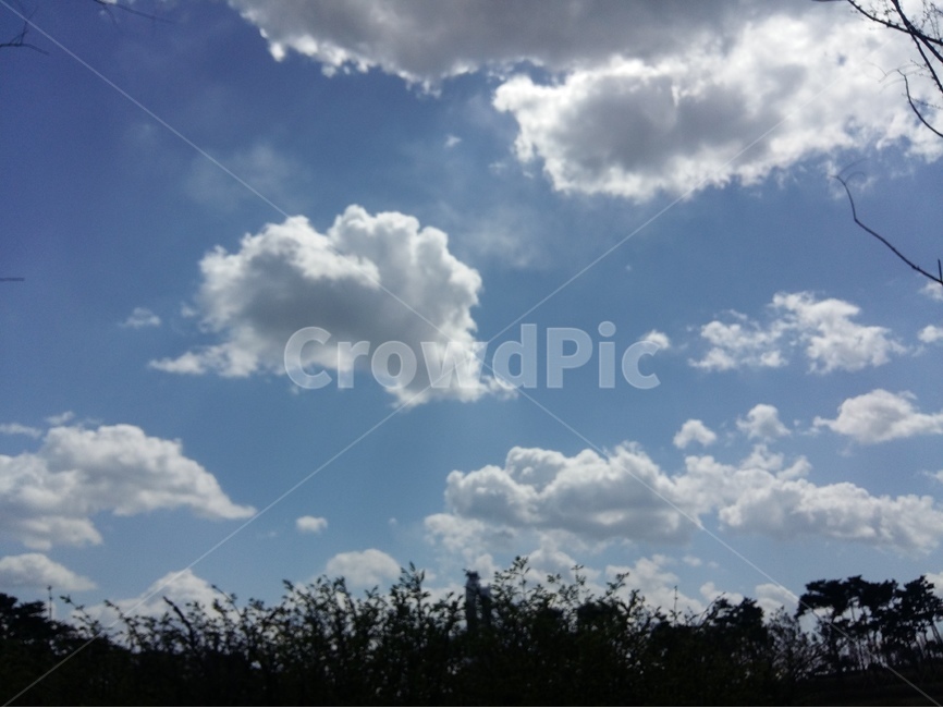뭉게구름,봄,파랑하늘,햇빛,바람,낮,자연,풍경,nature,landscape,outdoors,옥외,sky,하늘,cloud,구름