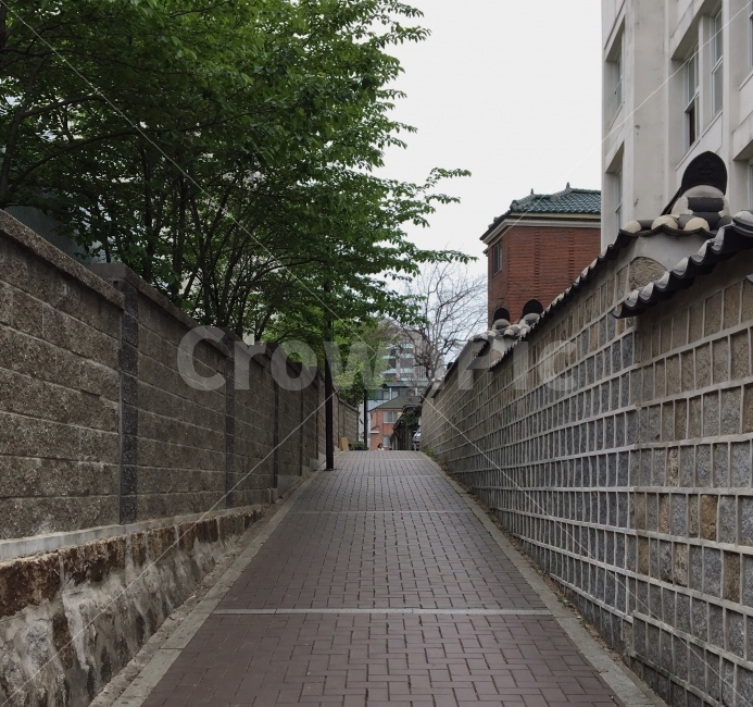 북촌,한옥,골목길,길,나무,하늘,서울,종로구,도시,풍경,city,landscape,한국도시풍경,한국도시경관,korea cityscape,골목길,alley,flagstone,판석,path,통로,walkway,보도