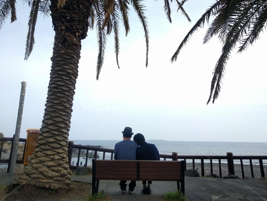 제주도,쇠소깍,커플,벤치,해변,jejuisland,jeju,soesokkakestuary,couple,anniversary,beach