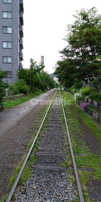 레일,흙길,일본,북해도,오타루
