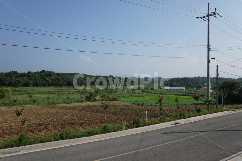 도로,road,아스팔트,배경,하늘