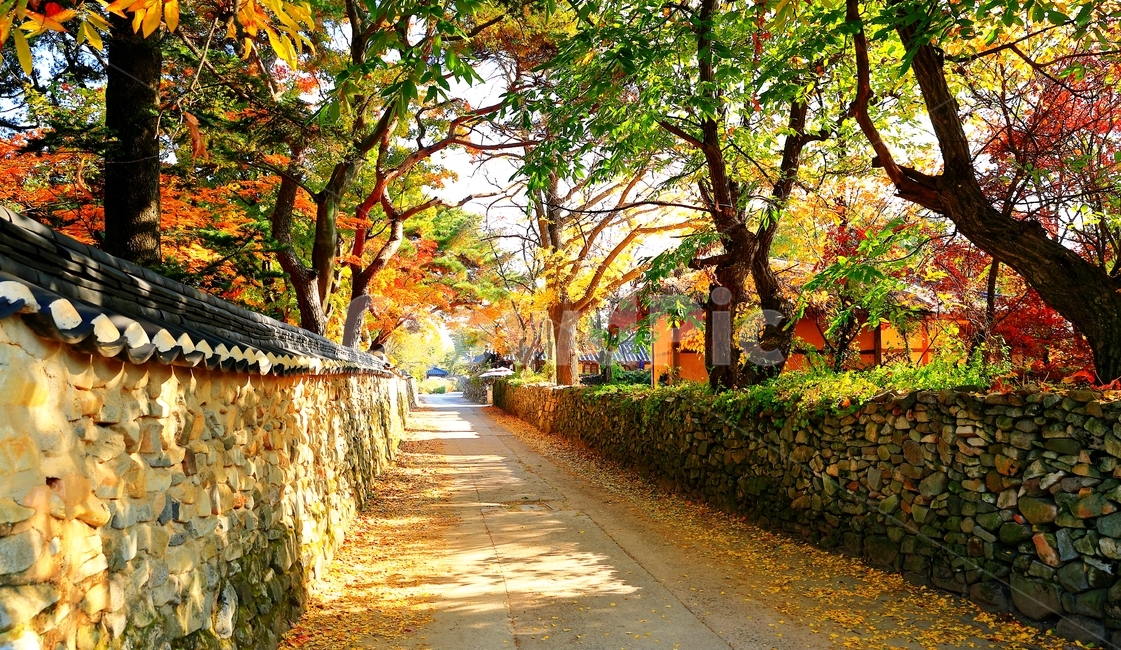 가을,외암민속마을,길,담장,단풍,돌담,가을,계절,fall,autumn,season,한국전통,한국문화,korean traditional,korean culture,건축물,건물외관,exterior,building,structure,architecture,construction,path,통로