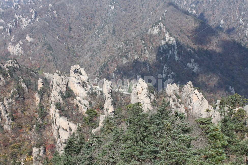 설악산,흘림골,한계령,칠형제봉,주전골,자연,풍경,nature,landscape,한국자연풍경,한국자연경관,korea nature landscape,outdoors,옥외,mountain,산