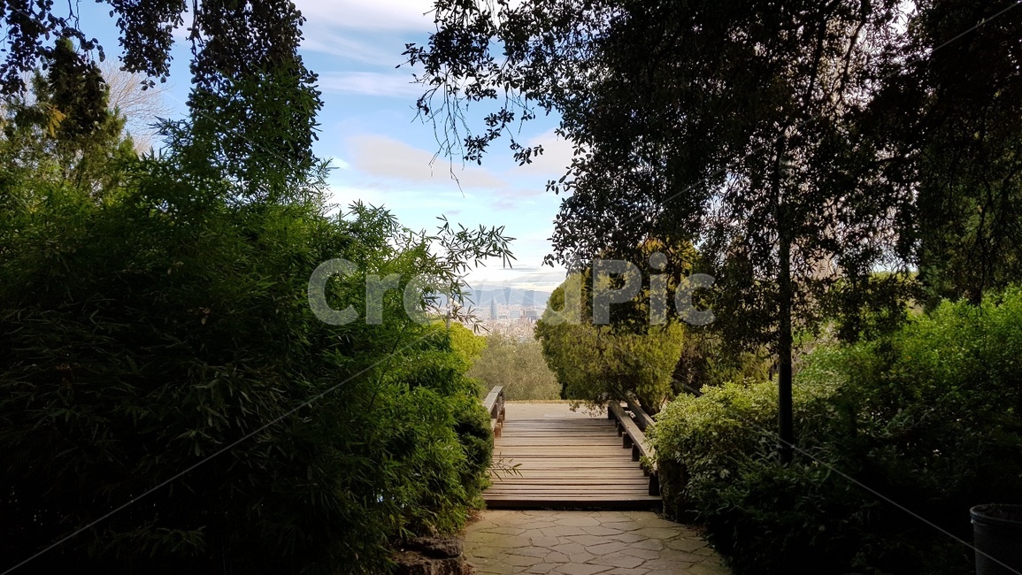 숲속,나무,벤치,공원,산,자연,풍경,nature,landscape,식물,plants,나무,trees,wood,flagstone,판석,outdoors,옥외,path,통로