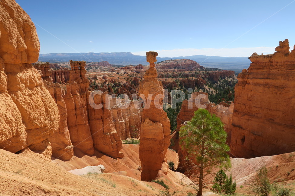 nature,자연,미국,브라이스캐년,산,mountain,옥외,outdoors,자연,풍경,nature,landscape