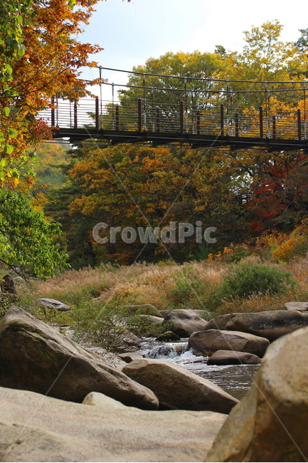 계곡,가을,바위,자연,단풍,선선함,다리,흐르는물,nature,fall,풍경,가을풍경,계절,season,autumn,낙엽,한국가을의정취,풍경사진,자연사진,가을사진,가을,계절,fall,autumn,season,자연,풍경,nature,landscape,outdoors,옥외,water,물