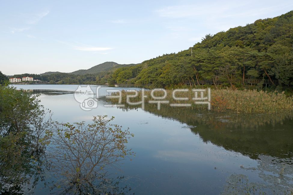 천흥저수지,천흥1저수지,저수지,호수,자연,반영,성거산