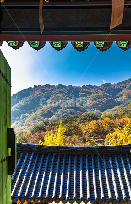 청평사,단청,기와,기와지붕,가을,처마,단풍,전통가옥,전통건축물,건축물,전통대문,지붕,roof,한국전통,한국문화,korean traditional,korean culture,건축물,건물외관,exterior,building,structure,architecture,construction