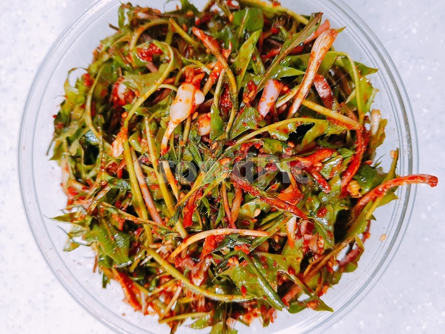 plant,식물,민들레,food,봄나물
