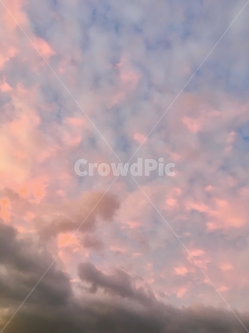하늘,노을,분홍,핑크하늘,핑크,구름,오묘,투톤,투톤하늘,날씨,자연,cloud,sky,적운