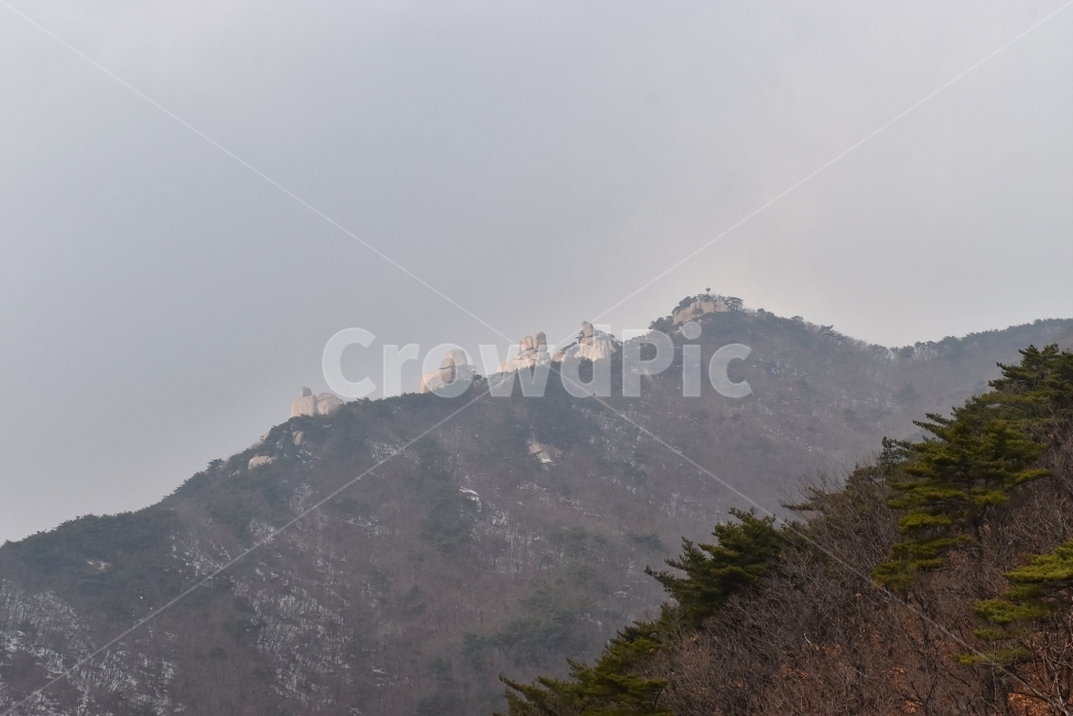 도봉산,풍경,자연,국립공원,서울,도심지,명산,겨울,힐링,산행지,국내여행,자연풍경,산사진,기암,바위,기암절경,Seoul,Korea,National,Park,비경,산행,등산,트레킹,100대명산,바위산,오봉,우이암,선만자,주봉,암릉,사진,감성,장관,조망,자연,풍경,nature,landscape,한국자연풍경,한국자연경관,korea nature landscape,outdoors,옥외,plant,식물,tree,나무