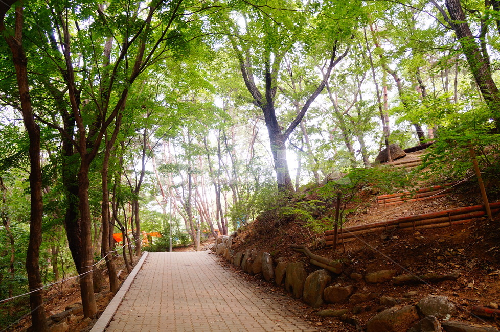 outdoors,옥외,path,통로,산길,캠핑장