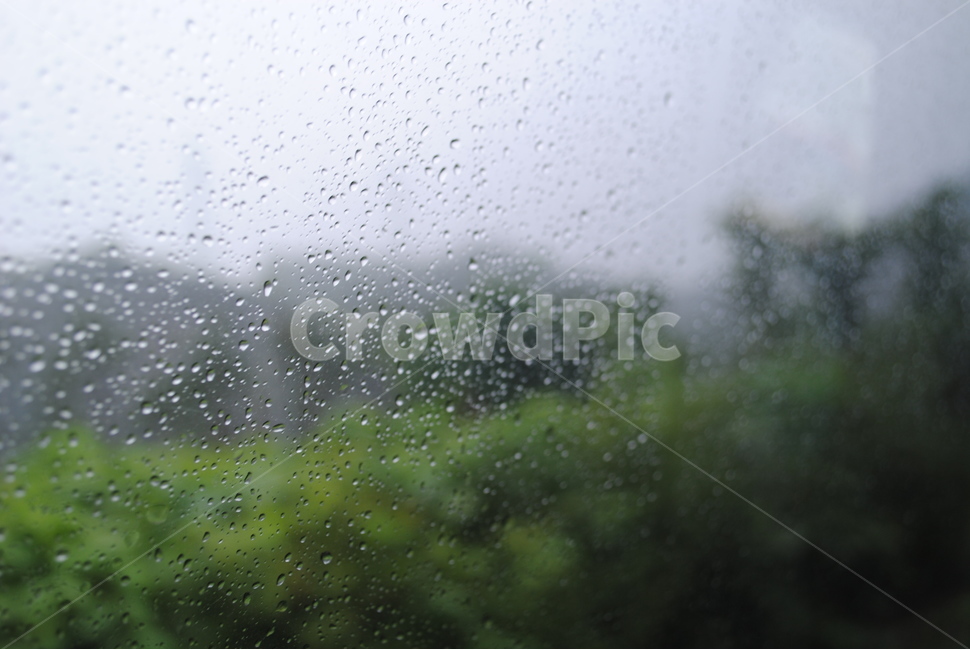 빛방울,비오는날,감성사진,비,차안,비,비오는날,rain,rainy