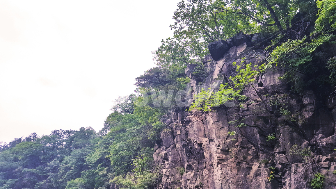 절벽,산,나무,풀,식물,자연,공원,풍경,돌,mountain,woods,plants,nature,landscape,rock