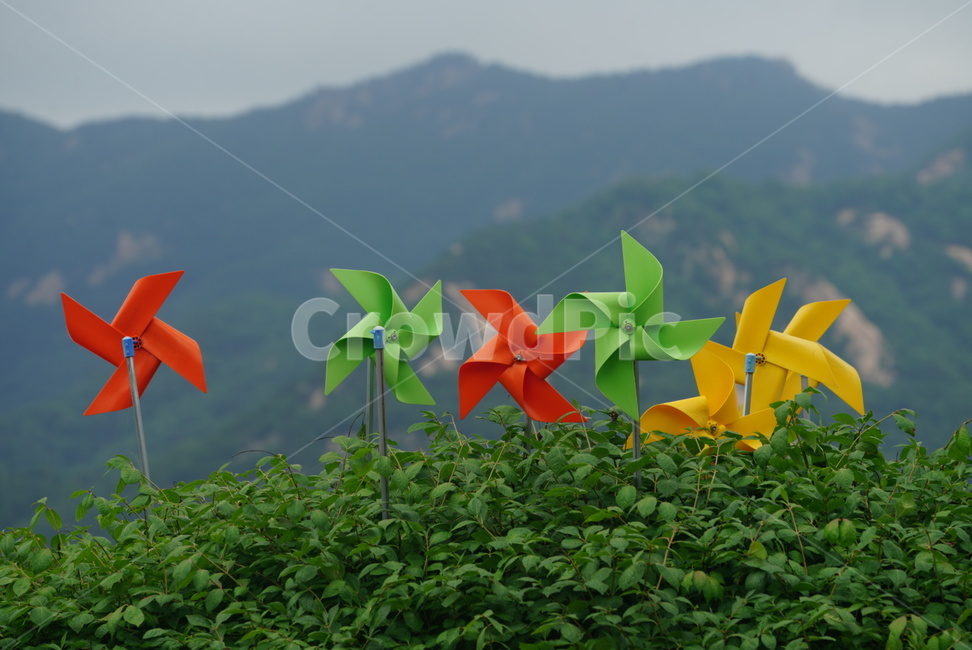 바람개비,바람,자연,계절,여름