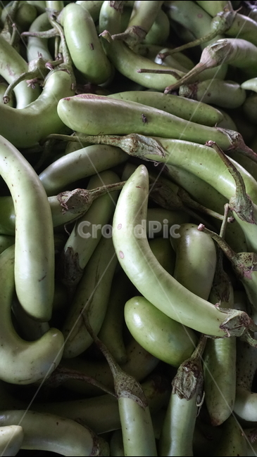 market,음식,food,시장,가지,eggplant,aubergine,채소,야채