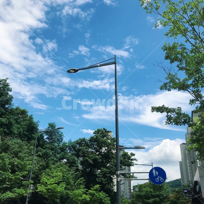 파란하늘,하늘,전봇대,sky,푸른,청량한,여름,여름하늘,싱그러움,도시,풍경,city,landscape,한국도시풍경,한국도시경관,korea cityscape