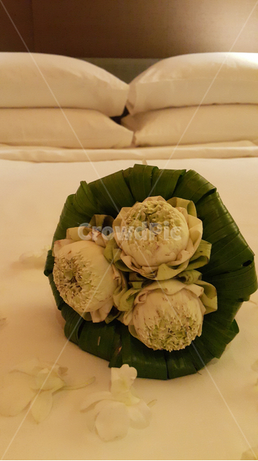 침대,꽃,조명,에로틱,침대와꽃,꽃,flower,기념일,축하,anniversary,congratulation,celebrate,celebration,인테리어,실내디자인,interior design