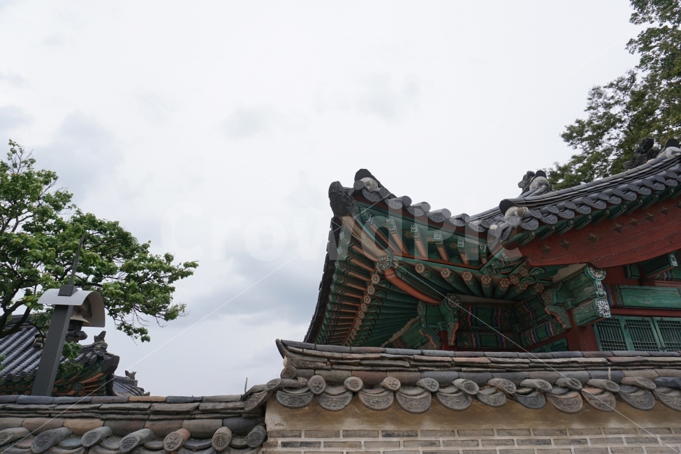기와집,문화재,한옥,담장위하늘,처마,창경궁,한국전통,한국문화,korean traditional,korean culture,랜드마크,landmark,tourist attraction,한국랜드마크,한국관광지,한국명소,korea landmark,korea tourist attraction,건축물,건물외관,exterior,building,structure,architecture,construction