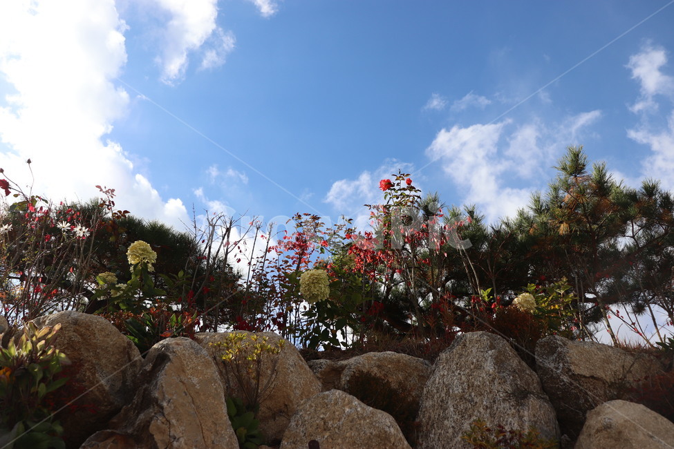 돌,단풍,하늘,배경,가을,자연,background