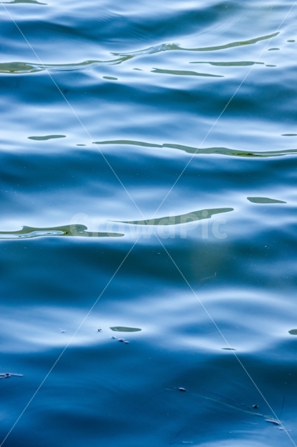 물결,호수,일렁임,출렁임,감성사진,자연,풍경,nature,landscape,water,물,outdoors,옥외