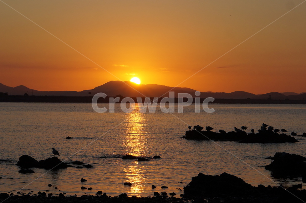 간월도,바다,일출,해,풍경,자연,풍경,nature,landscape,한국자연풍경,한국자연경관,korea nature landscape,flare,플레어,light,빛,sunlight,햇빛,sunset,일몰,dawn,새벽,sky,하늘,outdoors,옥외,red sky,붉은 하늘,dusk,황혼,bird,새,animal,동물