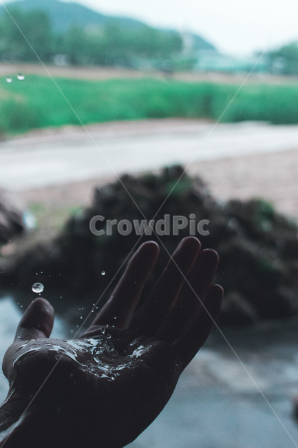 손,비,빗방울,물방울,손바닥,어둠,palm,hand,rain,raindrop,water,waterdrop,dark,사람,인물,인간,human,person,신체일부,몸,body,감성,sensible,feeling