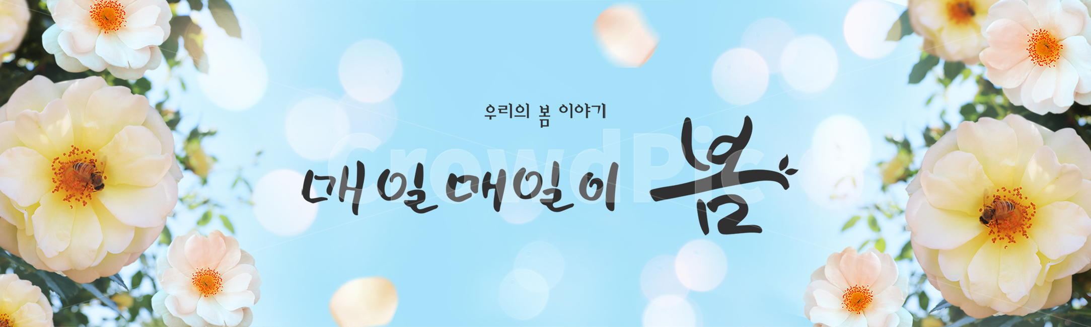 시즌,계절,봄,캘리그라피,캘리,손글씨,편집,배너,웹소스,소스,모바일,팝업,붓글씨,한글,꽃,배경,백그라운드,장미,벌,곤충,봄,계절,spring,season,캘리그라피,손글씨,calligraphy