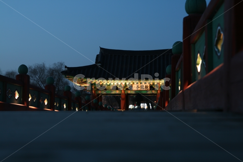 부여,궁남지,풍경,배경,저녁,일상,색감,야경,다리,bridge,야경,밤,풍경,nightscape,night,landscape,한국전통,한국문화,korean traditional,korean culture,랜드마크,landmark,tourist attraction,한국랜드마크,한국관광지,한국명소,korea landmark,korea tourist attraction,architecture,건축물,building,건물,shrine,신사,worship,예배