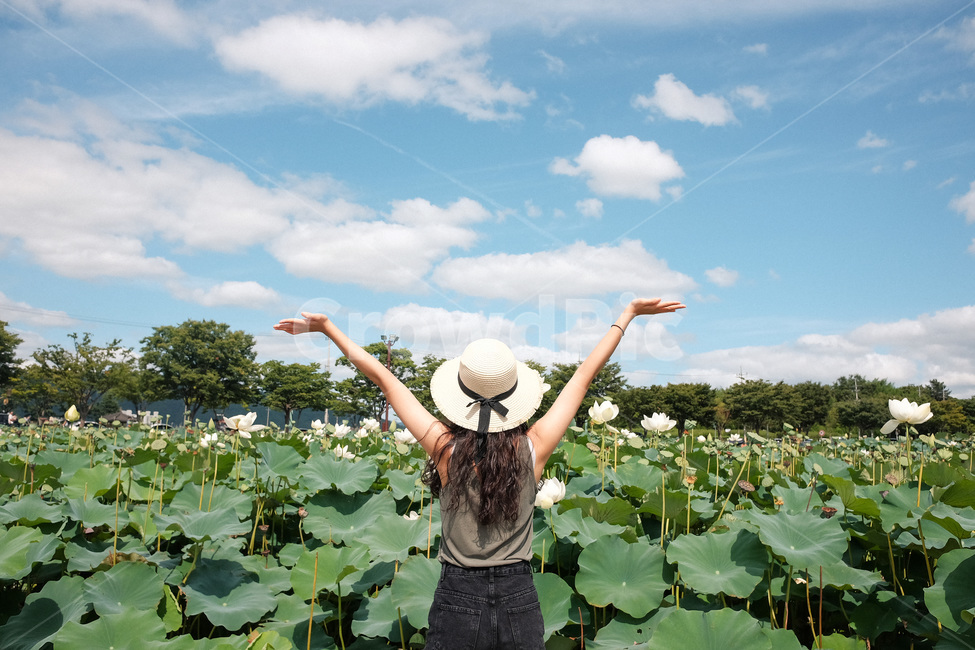 여자,만세,연꽃,여름,화창한,모자쓴여자,뒷모습,woman,backview,lotus,sky,summer,여름,계절,summer,season,사람,인물,인간,human,person,여성,여자,woman,female,lady,여행,휴가,traveling,vacation,trip,plant,식물,flower,꽃,lily,백합,blossom,pond lily,연못 백합