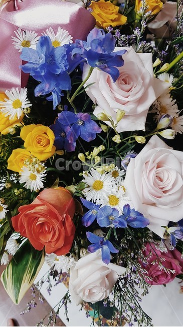 blossom,flower,꽃,flowerbouquet,꽃부케,flowerarrangement,꽃꽂이,꽃다발,식물,자연,plants,nature,꽃,flower