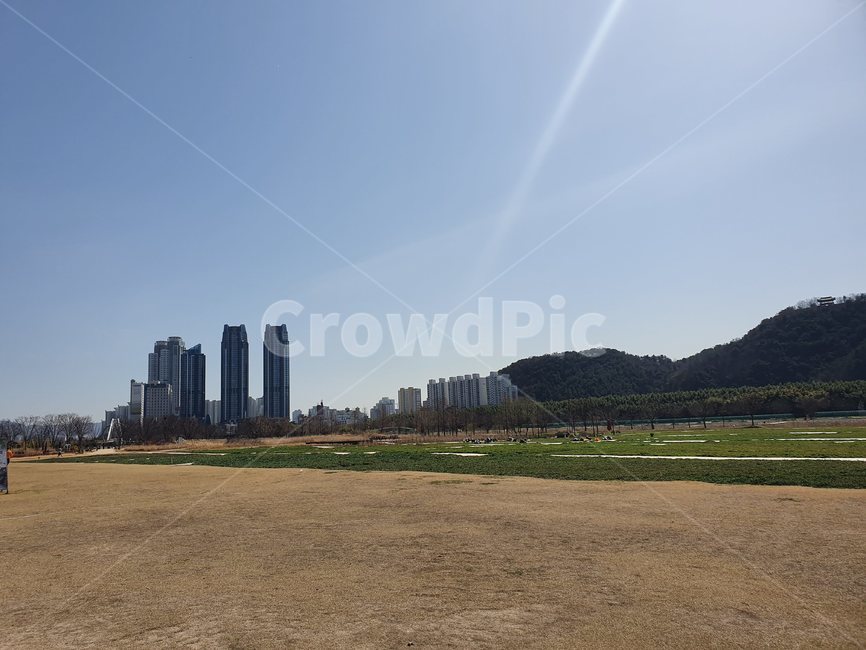 outdoors,옥외,대나무숲,잔디,자연,nature,plant,식물,tree,나무,공원,산책,숲,하늘,봄,봄날,오솔길,산책길,forest,sky,spring,park,road,sand,도시뷰,빌딩,building,cityview,울산,울산대공원,대공원