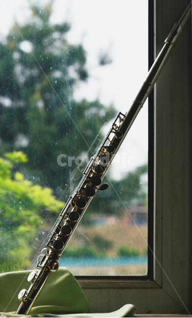 플룻,음악,악기,플룻사진,흐린날,악기,음향기기,musical instrument,musical equipment