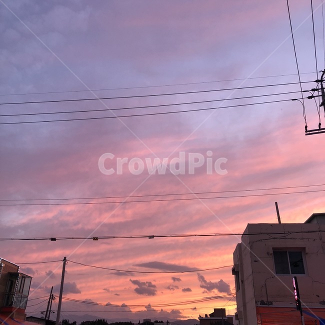 하늘,노을,석양,sky,감성,해질녘,분홍하늘,분위기,오묘,mood,색감,조용한,한적한,배경,필름,밤,night,nightscape