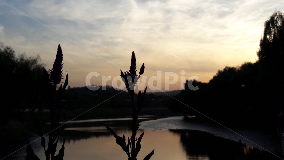 하늘,노을,가을,붉은,구름,자연,풍경,nature,landscape,land,땅,outdoors,옥외