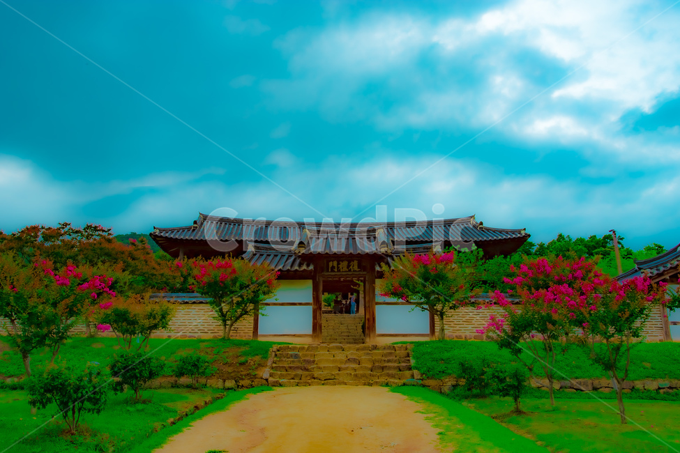 잔디,식물,옛집,안동,병산서원,풍경,한국전통,한국문화,korean traditional,korean culture