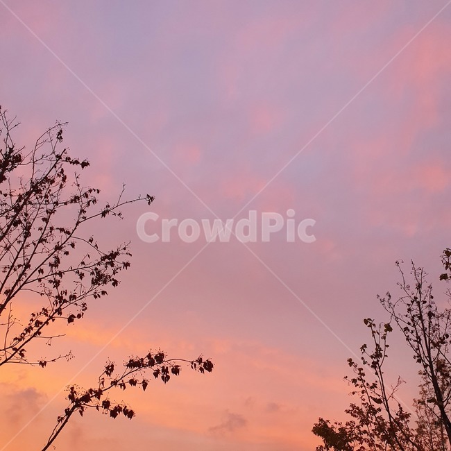 nature,outdoors,silhouette,sky,하늘,아련,가을,옥외,자연,자연,풍경,nature,landscape,실루엣