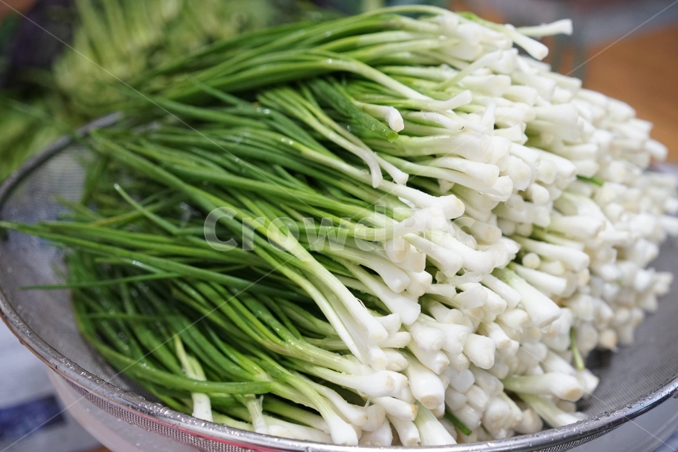쪽파,식재료,음식,야채,한국음식,음식,식재료,요리,food,cook,meal,dishes,food reserves,채소,야채,vegetables
