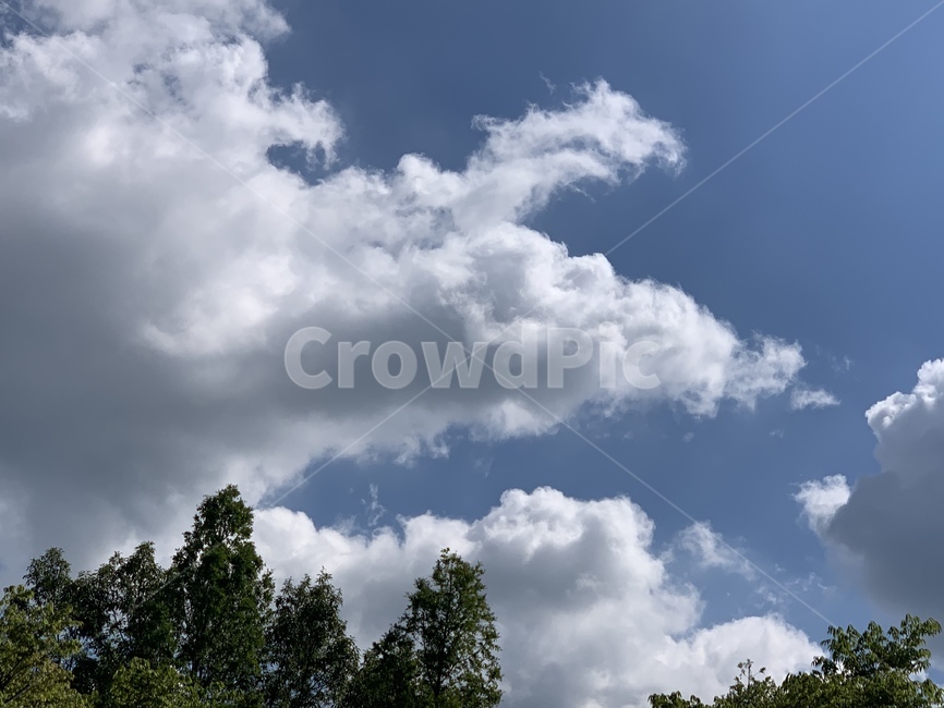 자연,weather,날씨,하늘,cloud,구름,자연,풍경,nature,landscape,outdoors,옥외,cumulus,적운,sky