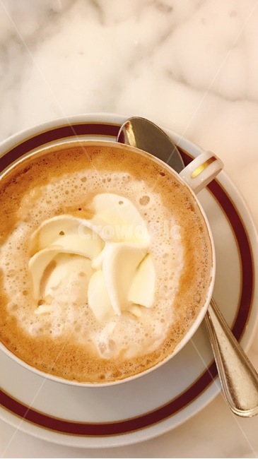 cup,latte,coffeecup,drink,라떼,오스트리아,자허,비엔나커피,coffee,cream,커피,카페,coffee,cafe