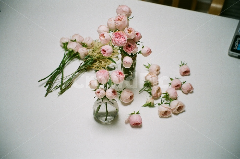 필름,결혼식,부케,꽃,감성,꽃,flower
