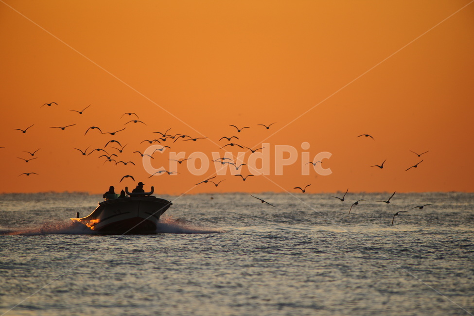 바다,어부,일출,귀환,만선,산업,industry,industrial,어업,fishery,fishing industry