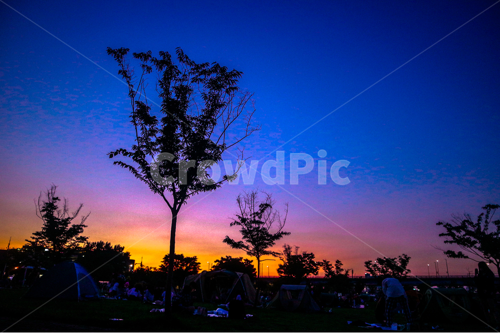 노을,sunset,sky,gradation,하늘,자연,한강,나무,tree,trees,그림자,shadow,silhouette,실루엣,그라데이션,색,color,사람들,대중,군중,other people,crowd,실루엣,그림자,silhouette,shadow