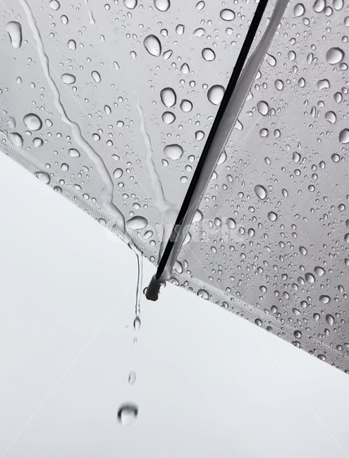 비,우산,비오는날,물방울,작은물방울,흑백,흑백사진,떨어지는물방울,umbrella,raindrop,blackwhitephotography,감성사진,순간포착,날씨,회색,gray,비,비오는날,rain,rainy