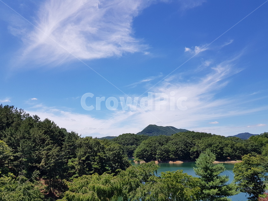 나무,하늘,경치,풍경,산,숲,초록,sky
