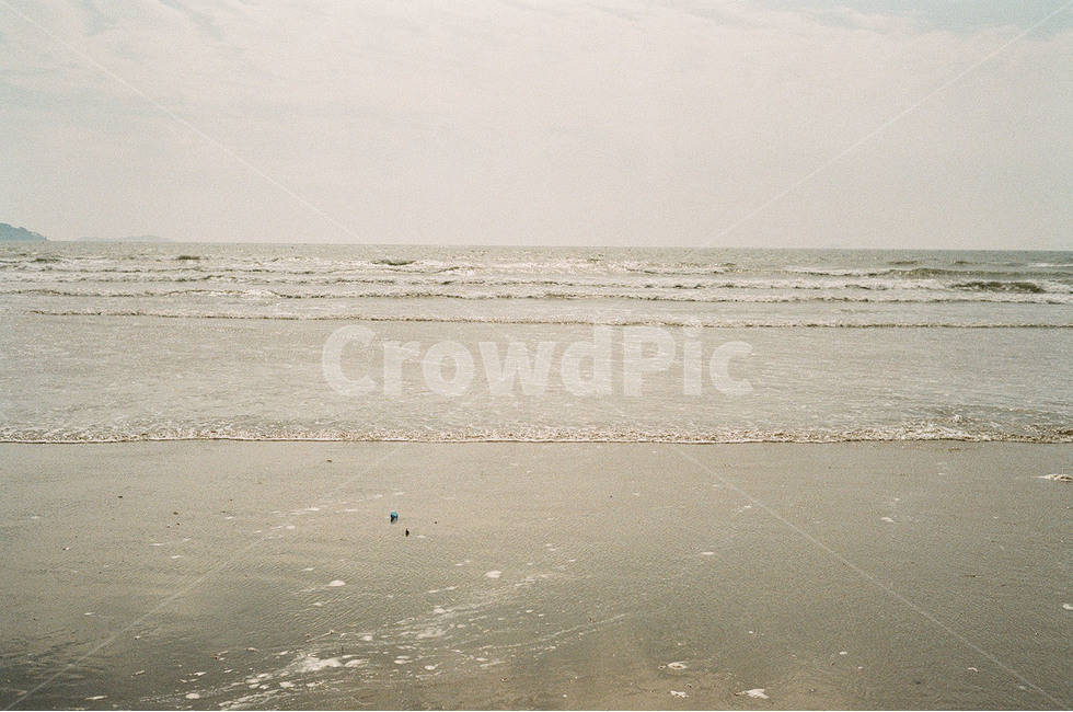서해안,태안,바다,필름,아련하다,감성,snap,해변,바다,beach,sea