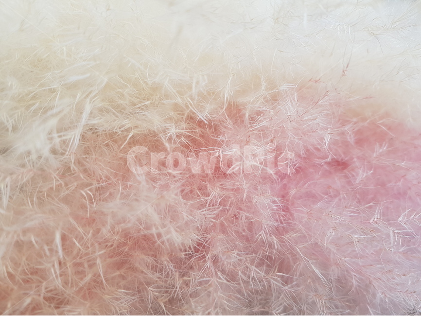 꽃,포근함,핑크,분홍,흰색,색깔,색상,색채,색감,color sense,color sensitivity,feeling of color,텍스처,질감,패턴,texture,pattern