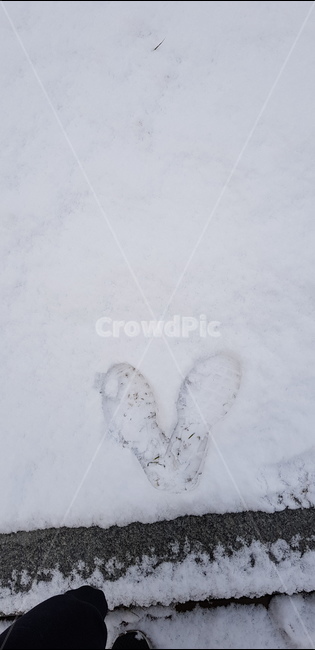 눈,발자국,겨울,감성,쌓인눈,계절,season,winter