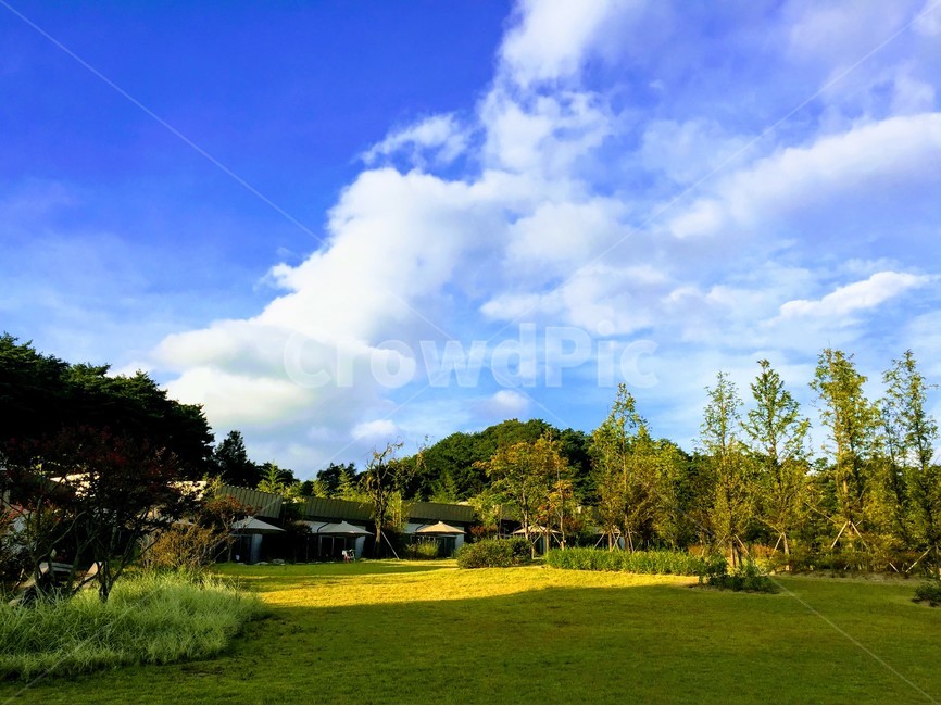 하늘,구름,날씨,산,나무,자연,풍경,nature,landscape,plant,식물,grass,잔디,outdoors,옥외